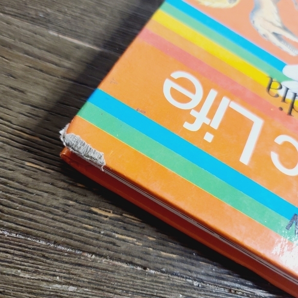 Vintage 80s 1982 Rainbow Prehistoric Life Encyclopedia Dinosaur Mammoth - Picture 9 of 11